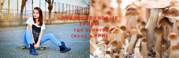 MDMA Алексеевка