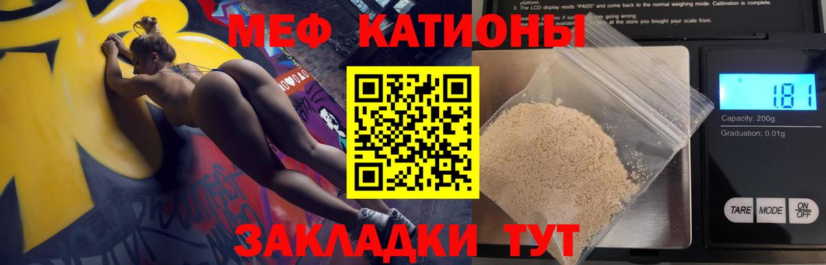 МЕФ Кашира