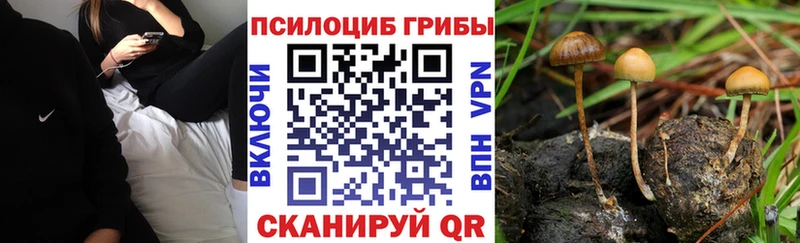 Псилоцибиновые грибы Psilocybine cubensis  кракен онион  Кашира 
