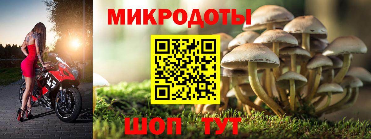 Кашира  где купить наркотик  Вход с VPN  Псилоцибиновые грибы Magic Shrooms 
