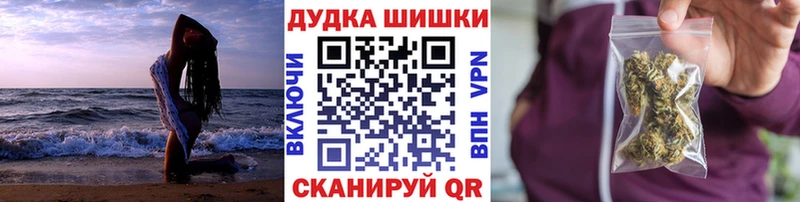 Каннабис OG Kush Кашира